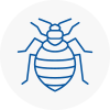 Bed Bug Extermination In Eynsham