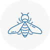 Bee Nest Removal Eynsham