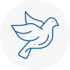 Bird Prevention Eynsham