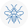 Eynsham Hornet Nest Removals