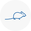 Mice Exterminators In Eynsham