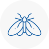 Moth Control Specialists In Eynsham