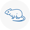 Rat Control Eynsham