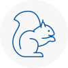 Eynsham Rodent Removals